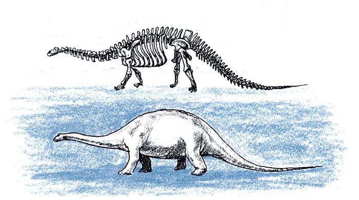 desenho de dinossauro