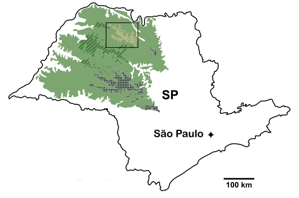 bacia Bauru em SP