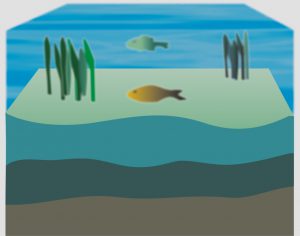 fossilização 1