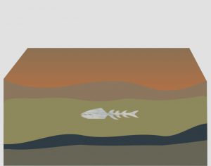 fossilização 3